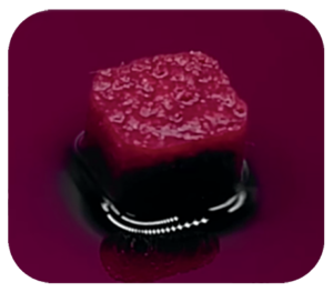 O THE GraftTM Collagen é composto de 90% matriz mineral óssea porcina de origem trabecular e 10% de atelocolágeno advindo do tendão porcino.