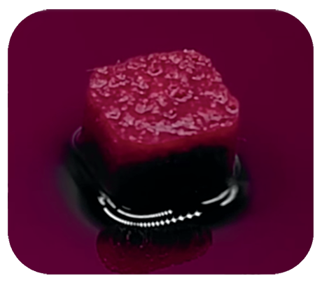 O THE GraftTM Collagen é composto de 90% matriz mineral óssea porcina de origem trabecular e 10% de atelocolágeno advindo do tendão porcino.