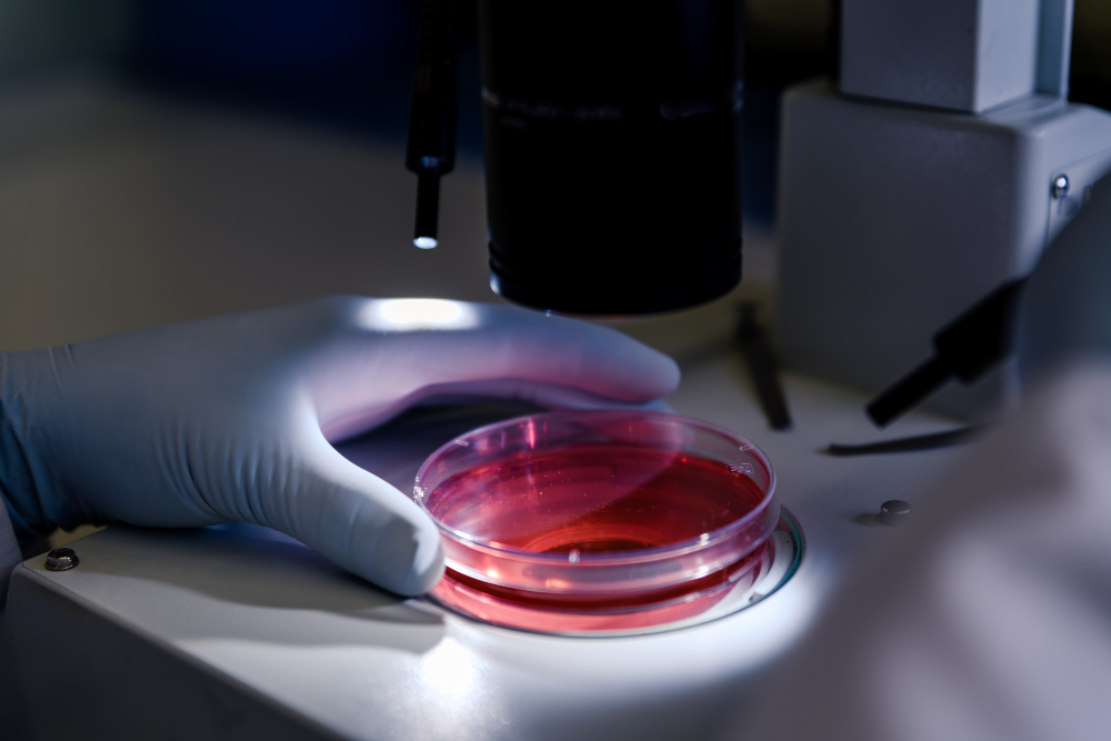 tecido ósseo histologia